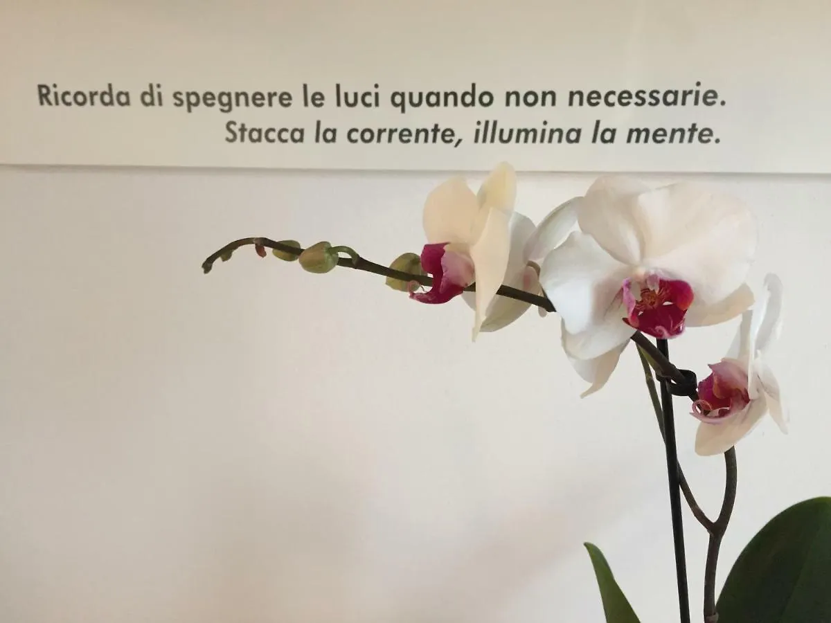 Villa Pacchioni Cavezzo B&B